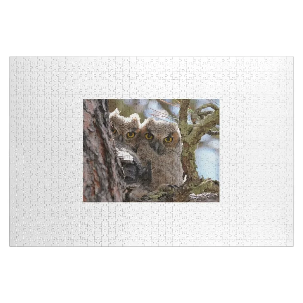 Baby Great Horned Owls Jigsaw Puzzle Toys For Children Personalised Name Puzzle