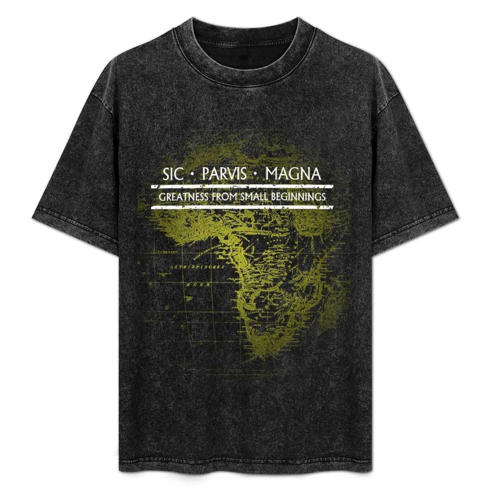 

Uncharted - SIC PARVIS MAGNA (Black) T-Shirt Basic Solid Tee for Daily Use