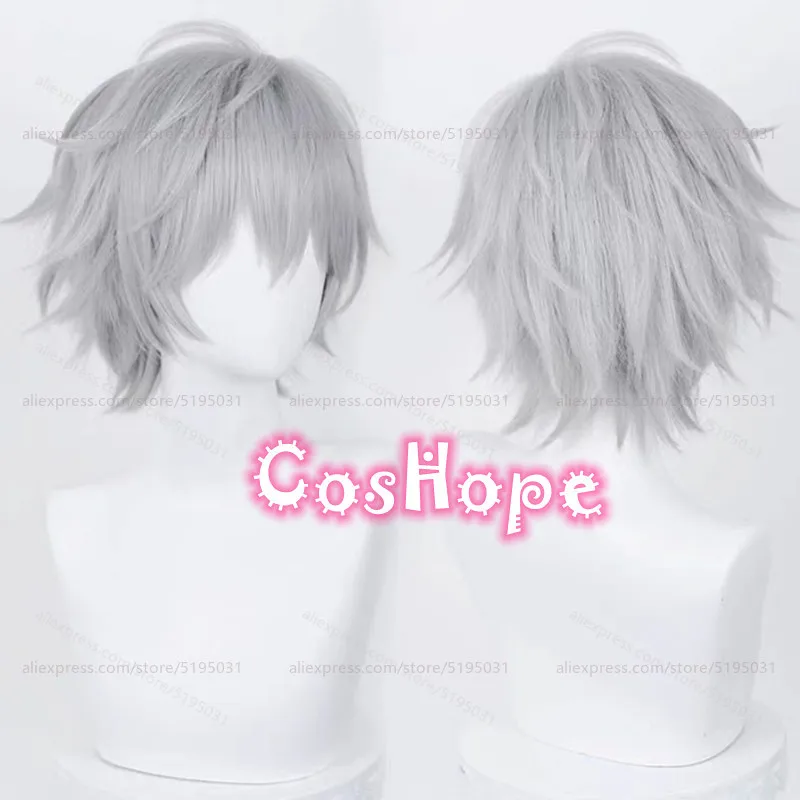 

Kaworu Nagisa Cosplay Wig 32cm Silver Gray Wig Cosplay Anime Cosplay Wigs Heat Resistant Synthetic Wigs for Halloween Costume