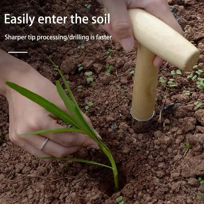 씨거 홀 펀치 인체 공학적 정원 소수 Dibber 핸드 도구 A0KF