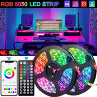 USB LED Strip Lights RGB 5050 Led Light Bluetooth App Control Flexible LED Lamp Ribbon For Room Decor TV BackLight Diode Tape