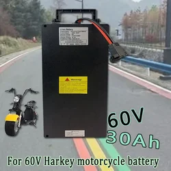 60V 30Ah Lithium Battery pack For Electric motorcycle For Two Wheel Foldable Citycoco Electric Scooter Bicycl