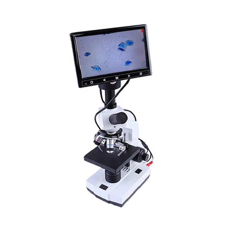 veterinary Microscope Semen Evaluation and blood samples microscope with warmer stage