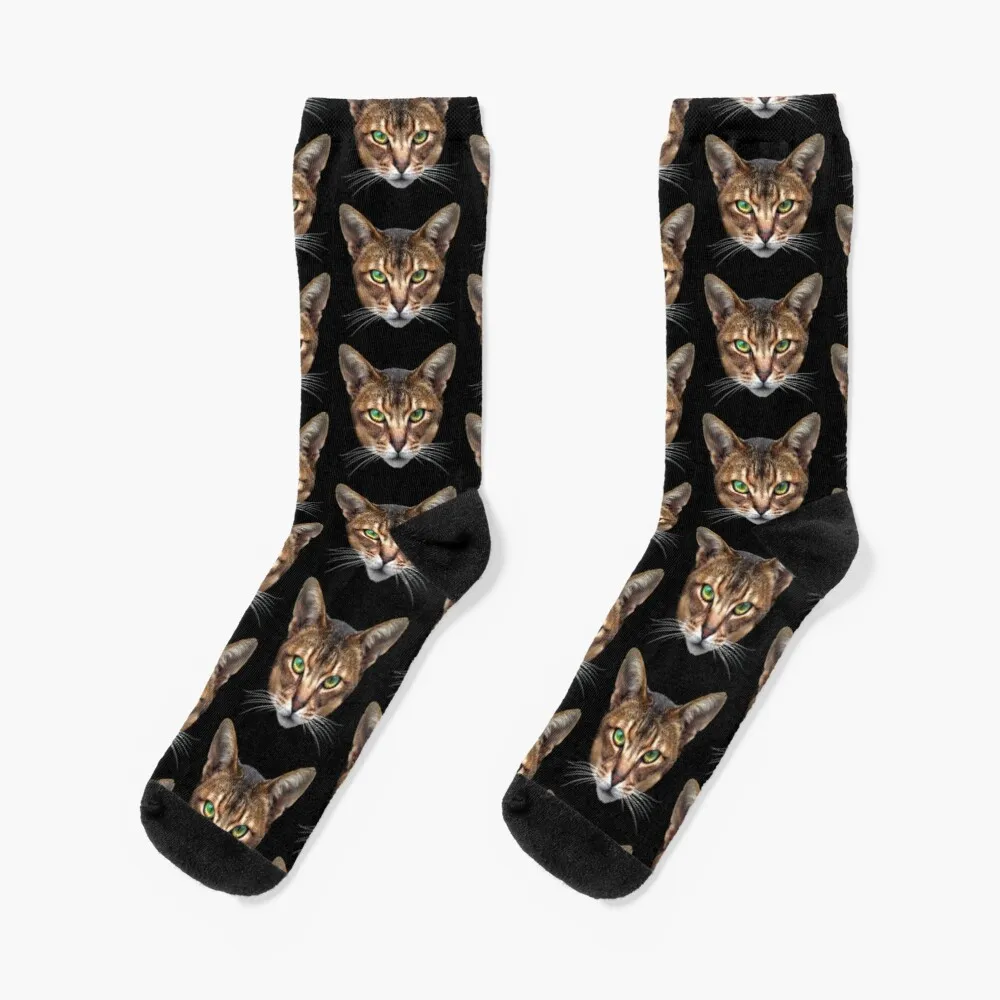 

Abyssinian Socks Warm Socks