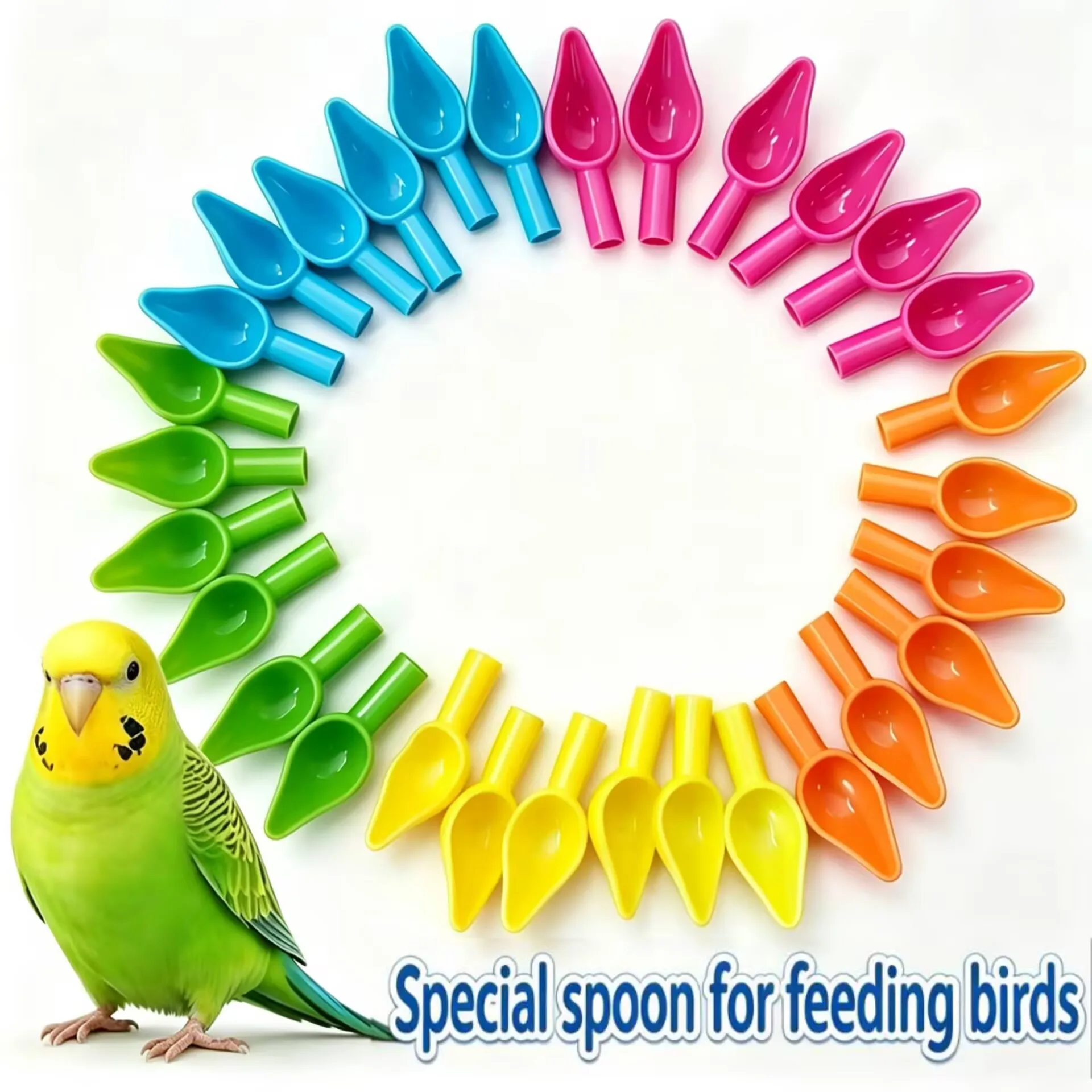 Colorful bird feeding spoon, young parrot feeding tool, hand pet feeding spoon, mainly used for feeding liquid to birds.