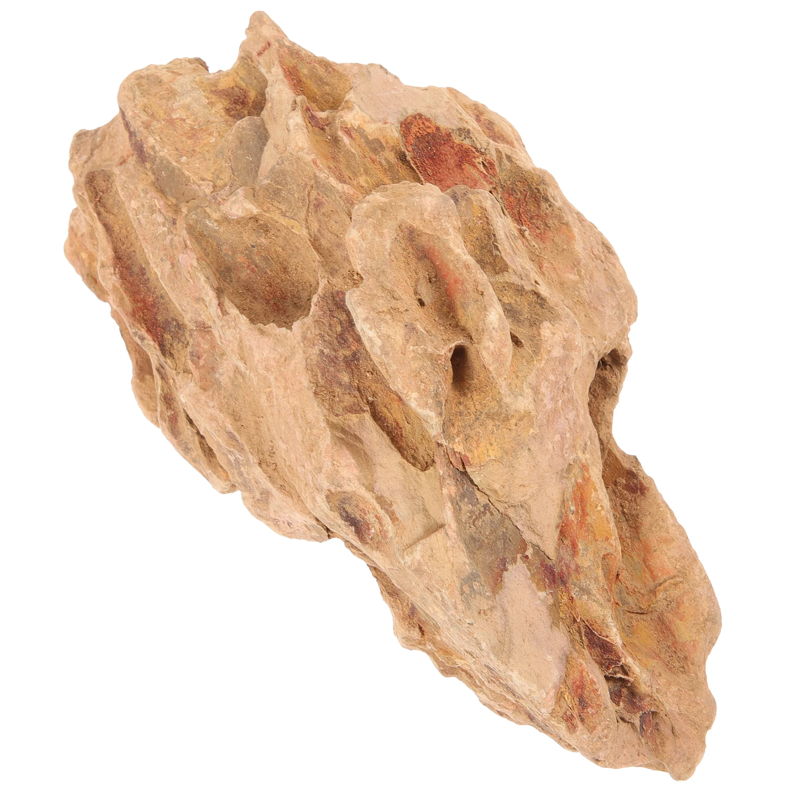 

Pinegrass Rockery Decoration Aquarium Stones Tank Bark Fish Landscape Hideout Natural Material Durable Fine Workmanship Eye