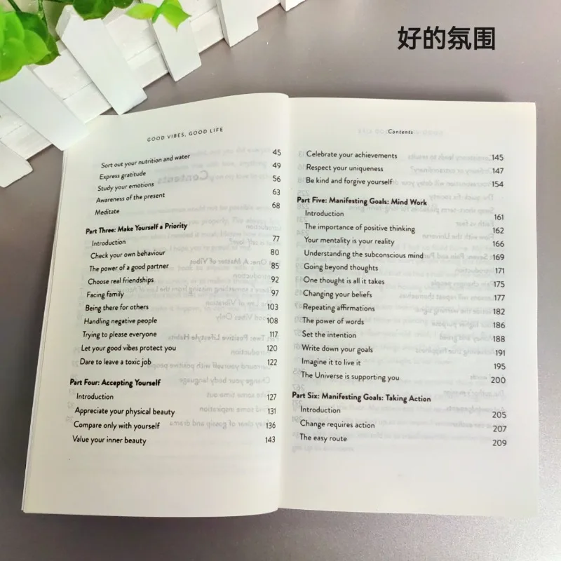 Good Vibes Good Life by Vex King: English Edition on Self-Love and Positive Mindset for a Joyful Lifestyle