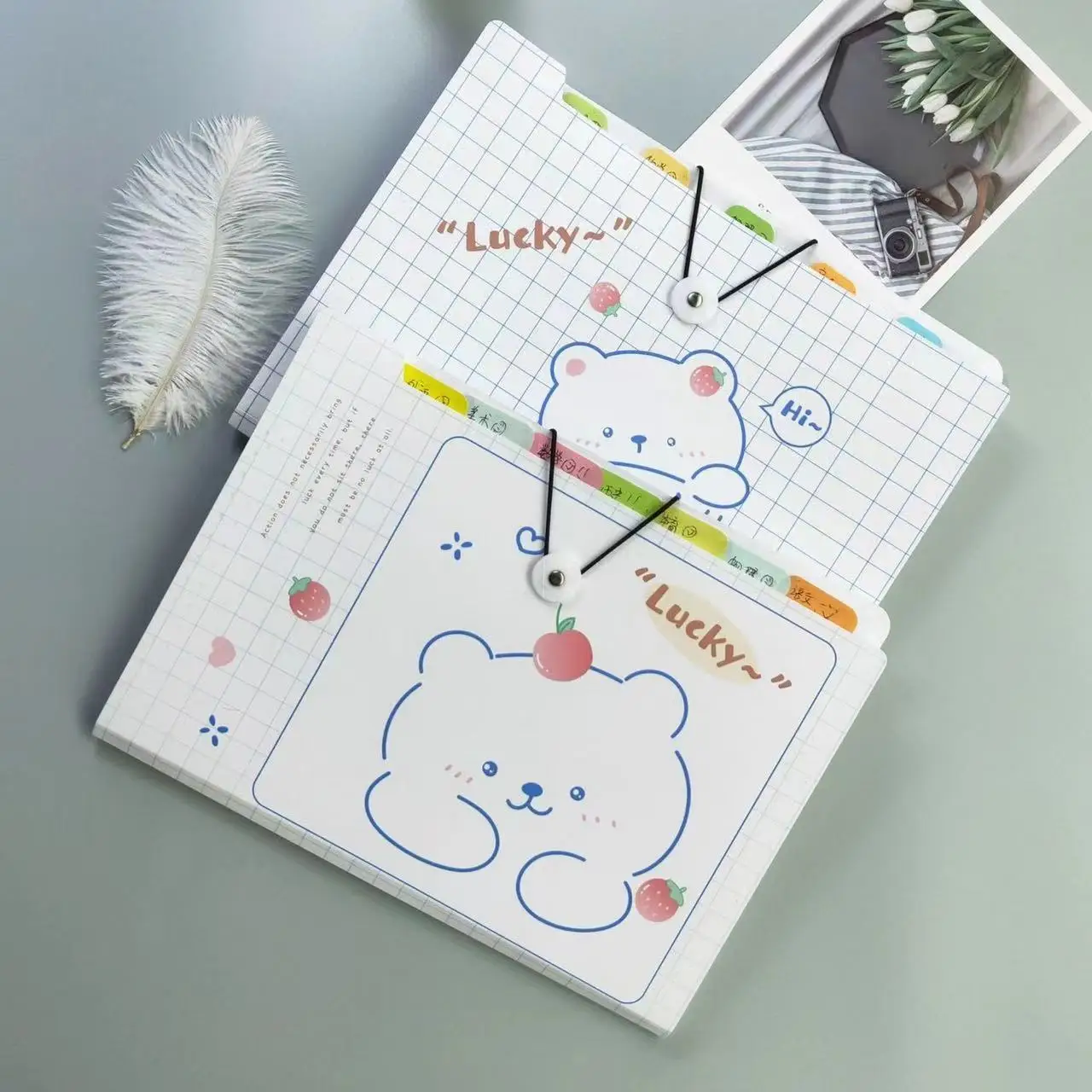 MOHAMM 1pc Transparent Waterproof A4 Folder Student Test Paper Storage Lovely Storage Bag