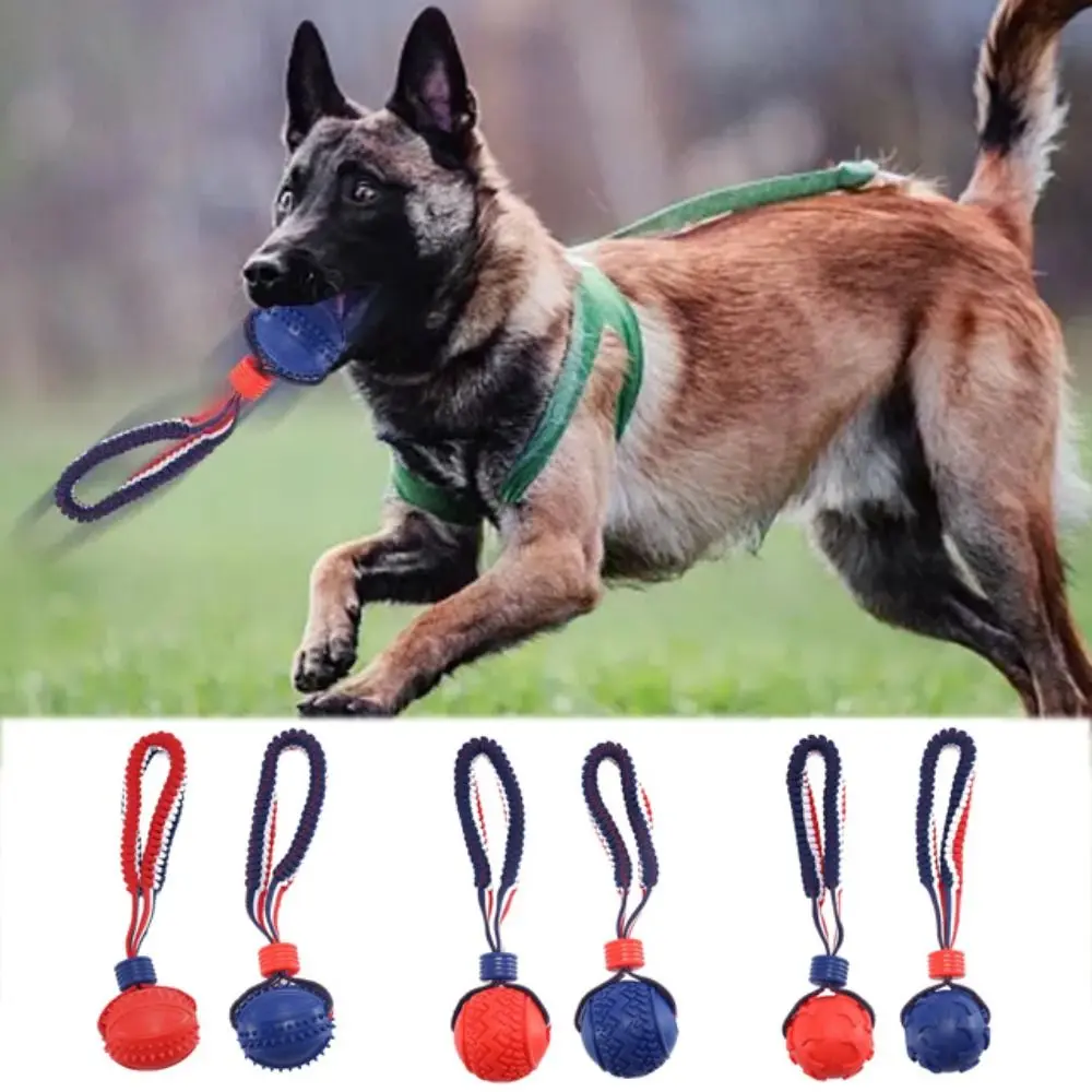 Bite Resistant Pet Interactive Rope Knot Balls Red/Blue Elastic Dog Teeth Grinding Toy TPR Puppy Tooth Cleaning Molar Ball