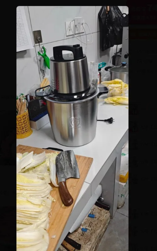 5L Large Capacity Electric Meat Grinder, High Power Multifunctional Chopper for Meat Veggies Garlic