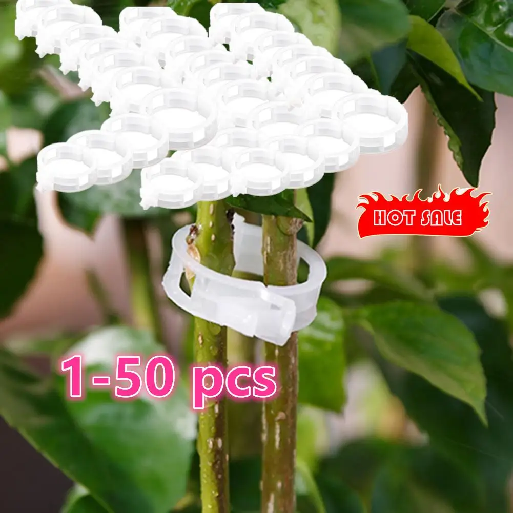 

1-50 Pcs Plastic Plant Clips Supports For Vegetable Tomato Reusable Protection Grafting Fixing Gardening Tools