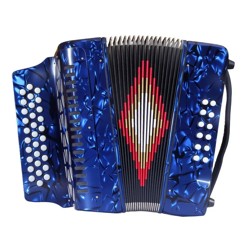 31‑Button 12‑Bass Diatonic Accordion Portable Wood Musical Instrument with Alloy Case