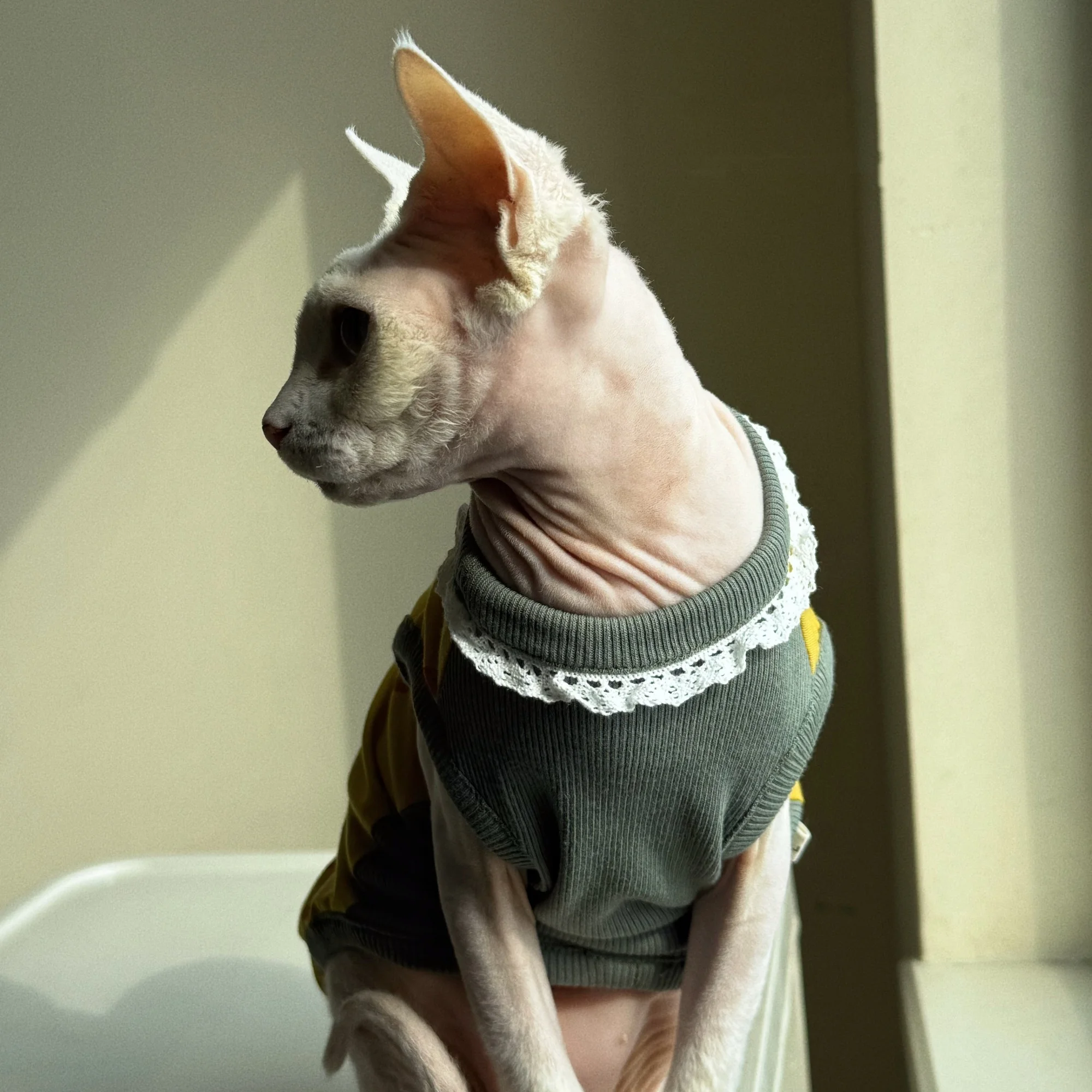Kleidung für Katzen Frühling S – Summer Green Clothing Bewertung und Preis