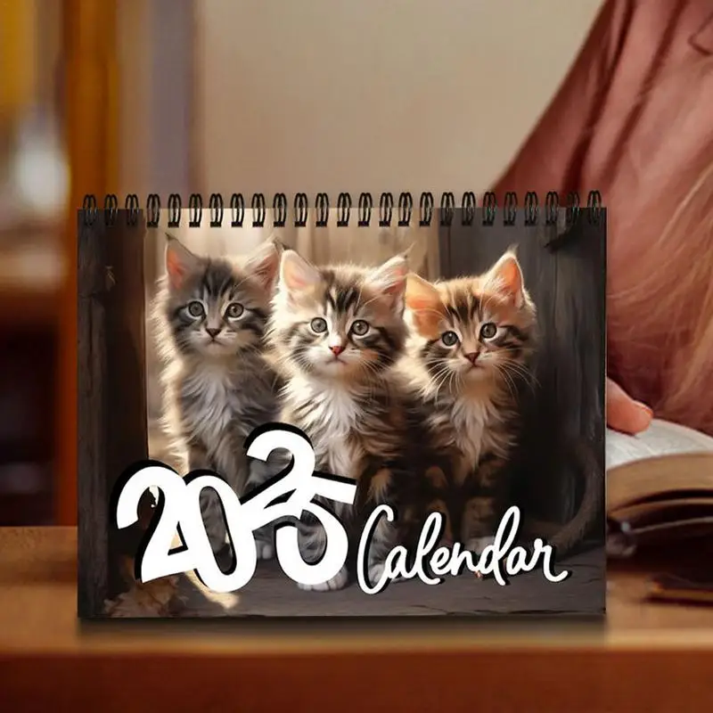 Cat Calendar Cute Kitten Monthly Wall Calendar Hangable 2025 Family Planner & Daily Organizer 21X28cm Adorable Cat Calendar For