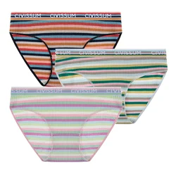 2PCS/Set Women Cotton Plus Size Panties M-4XL Comfort Underwear Sexy Colorful Rainbow Striped Lingerie Girls Cute Briefs NK608