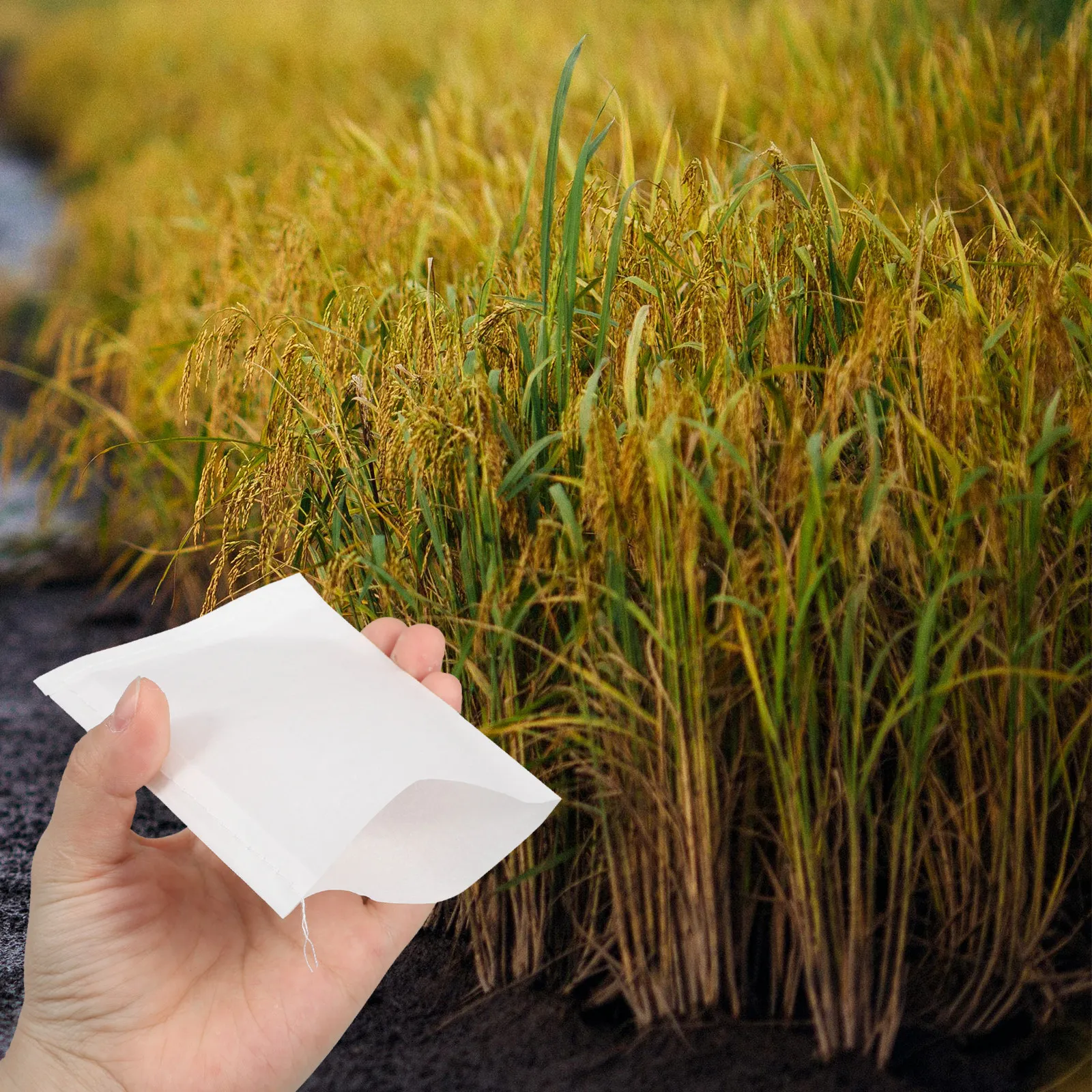 100 Bolsas de Polinización de Arroz, Papel Pergamino Transpirable, Resistente al Agua y al Aceite, Protección Contra Lluvia Ácida, Almacenamiento de Semillas