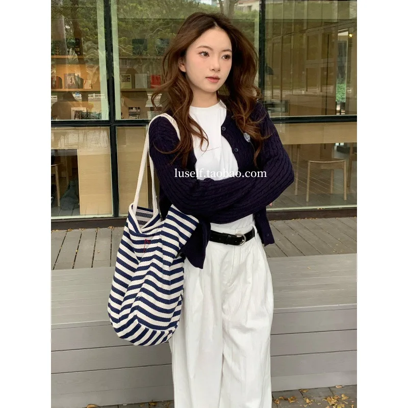 

2025 New Versatile Striped Canvas Bag, Niche Embroidery, Large Capacity Lazy Style Tote Bag