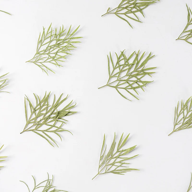 60 Velas Aromáticas en Forma d - Dried Flower Bookmark reseña y precio