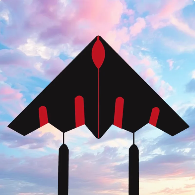 Cerfs-volants d'avion volants, tissu en nylon pour adultes, usine de cerfs-volants, jouets de plein air, ligne de cerf-volants de sport, cerf-volant weifang surf koi