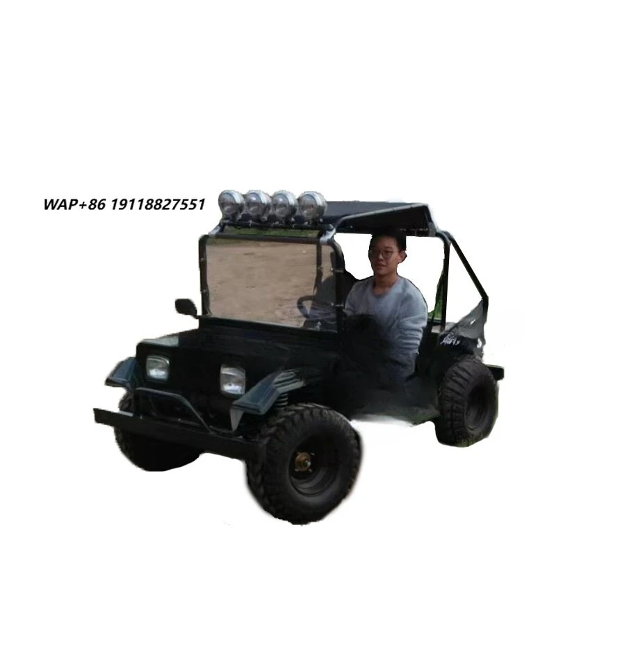 SUYANG 2-местный мини-кар/багги для бездорожья 4x4 150cc/200cc