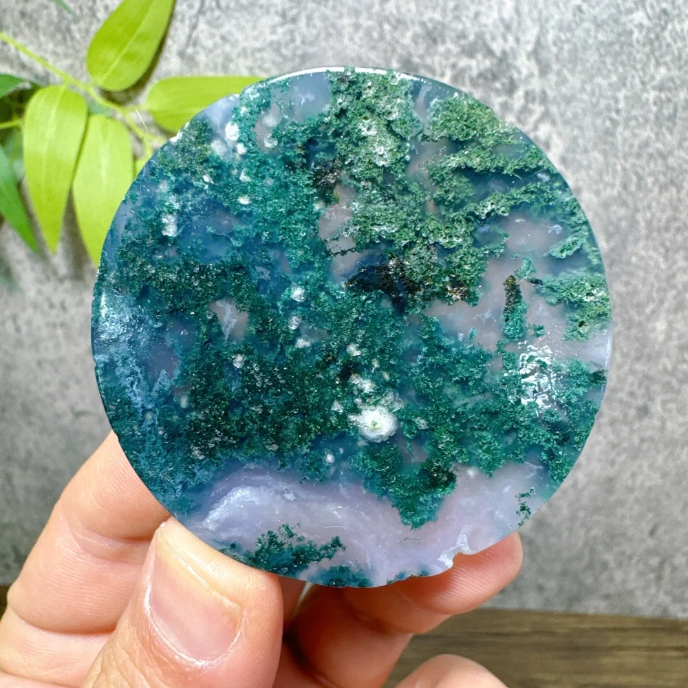 Moss Agate Crystal Druzy Slab Circle Stone Natural Quartz Reiki Healing Gemstones Specimen Energy Mineral Decoration Gift