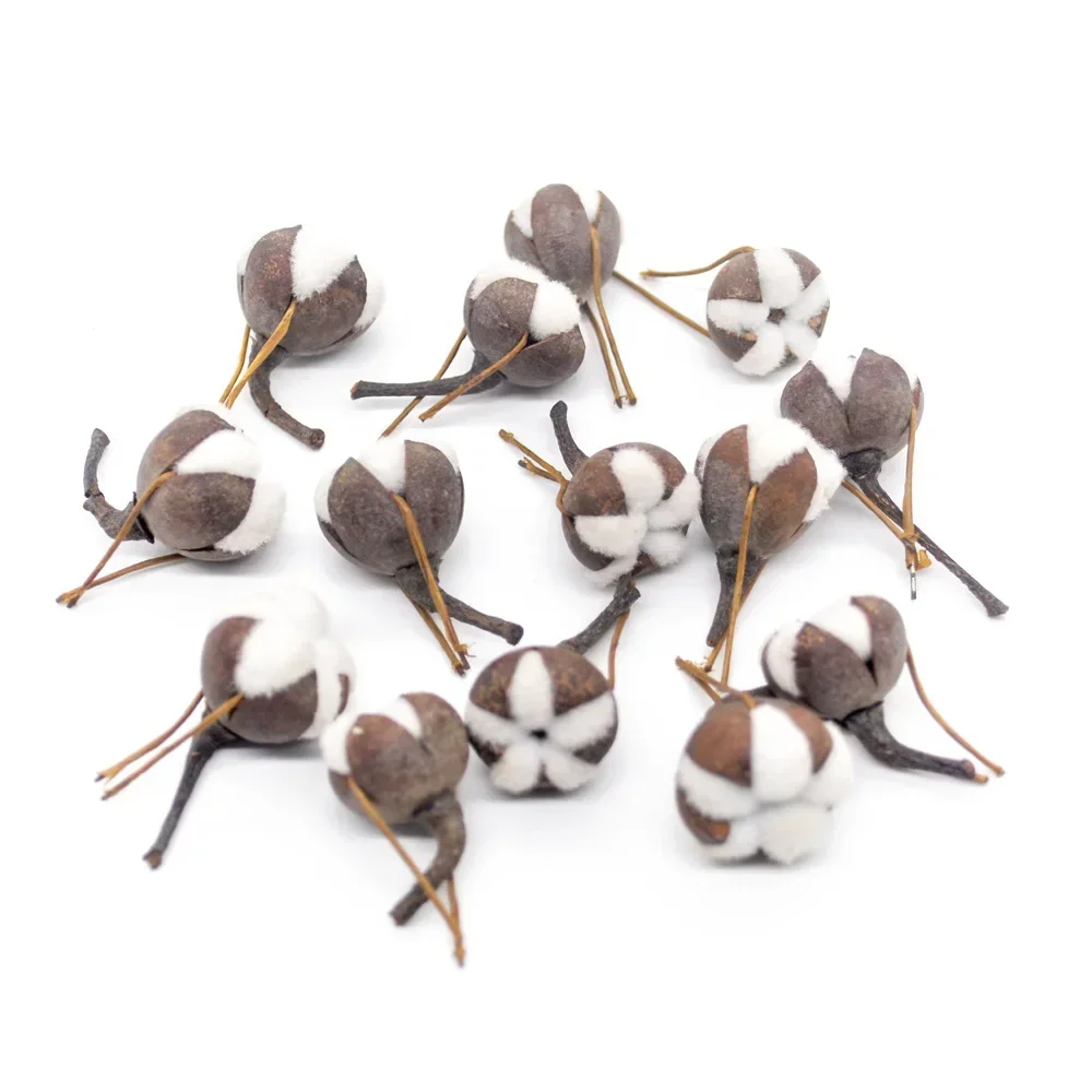 

12/24Pcs Artificial Kapok Flowers Natural Looking Dried Simulation Cotton for Wedding Easter Home Decor DIY Wreath Bouquet Suppl