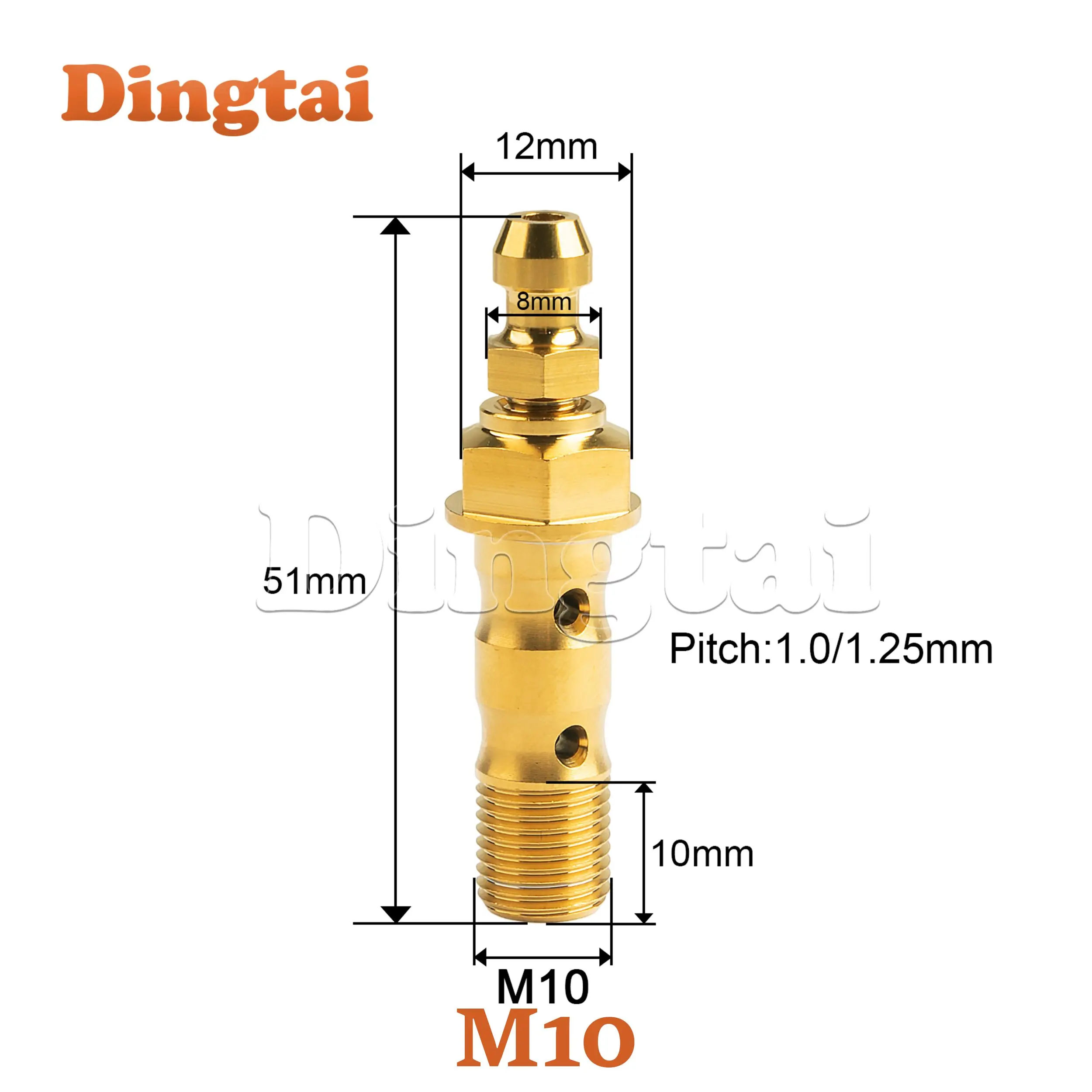 Dingtai Titanium Double Hole Clutch Bolt M10 Pitch 1.0/ 1.25mm with Bleeder Valve Banjo Bolt for Motorcycle Brake Caliper