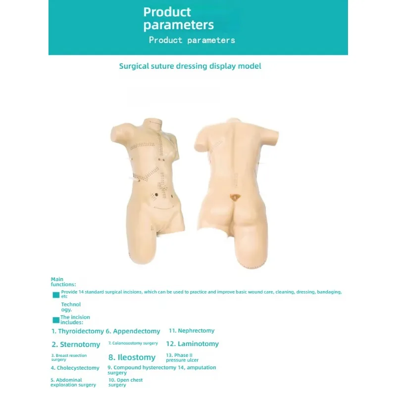 

unique Comprehensive Wound Debridement Suturing Training Simulator Surgical Suturing Dressing Demonstration PVC Manikin Medical