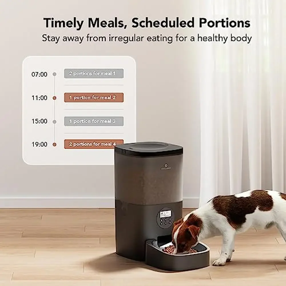 Dog Food Dispenser Automatic Feeder 6L Timer Voice Recorder Desiccant Bag Control Stainless Steel Slide Outlet Double-Sided Lid