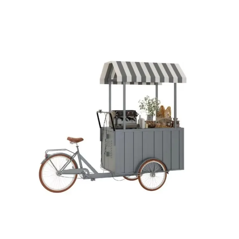 Custom Mobile Food Snack Selling Cart with Freezer Outdoor Dining Car Reverse Riding Tricycle Commercial Vending Cart