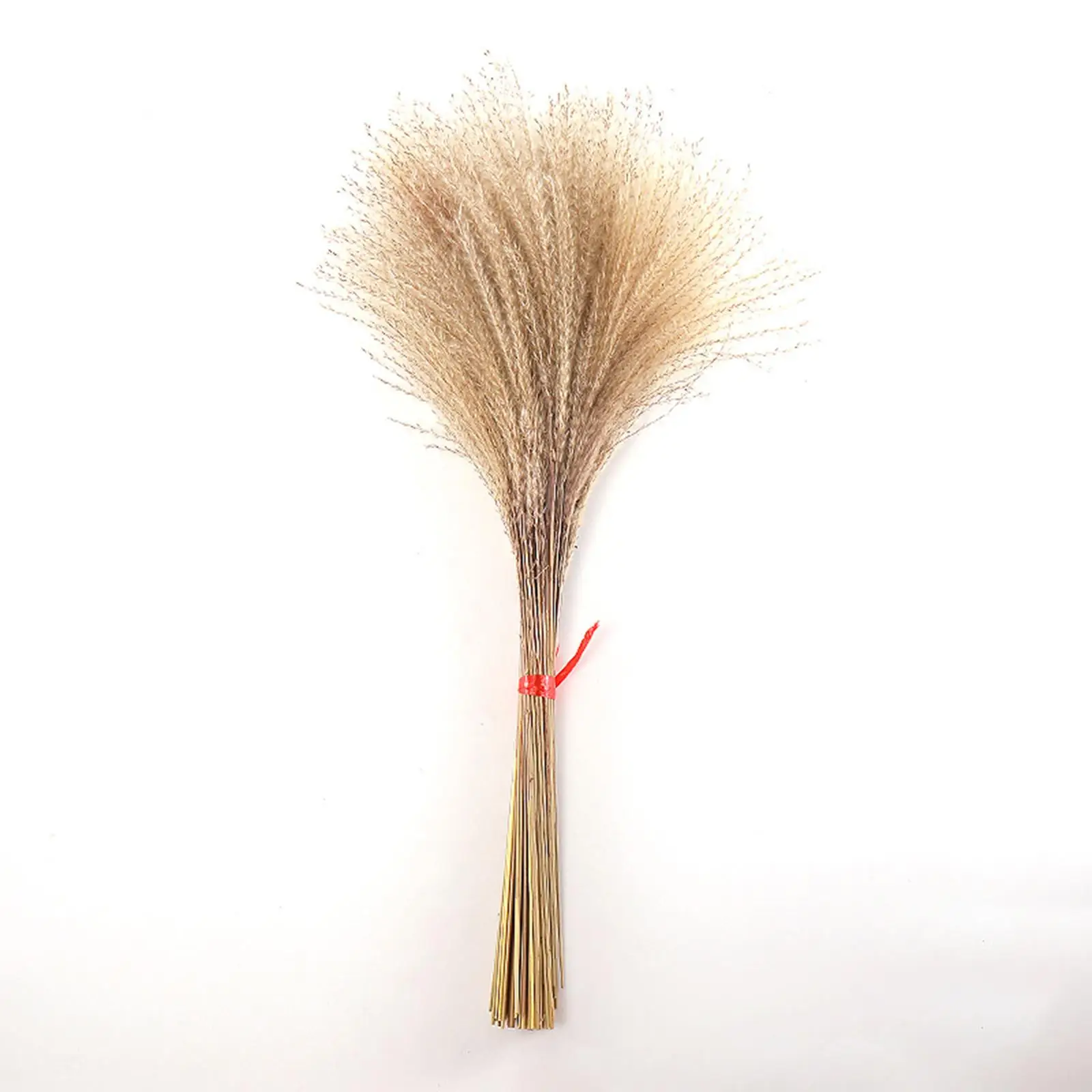 Dried Grass, Vase Filler Flower Arrangements Flower Bunch for Festival Centerpiece