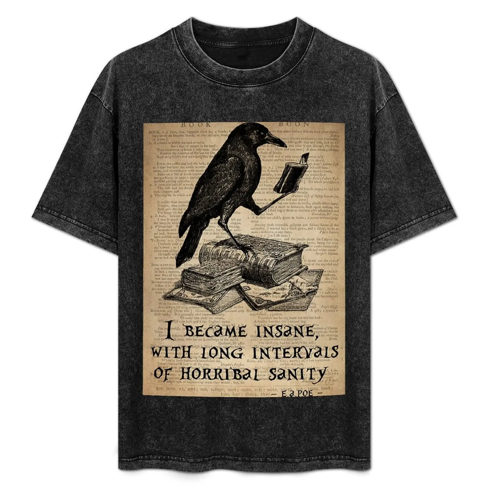 

Raven Books I Became Insane With Long Intervals Of Horribal Sanity Poster T-Shirt kawaii clothes t shirt for men