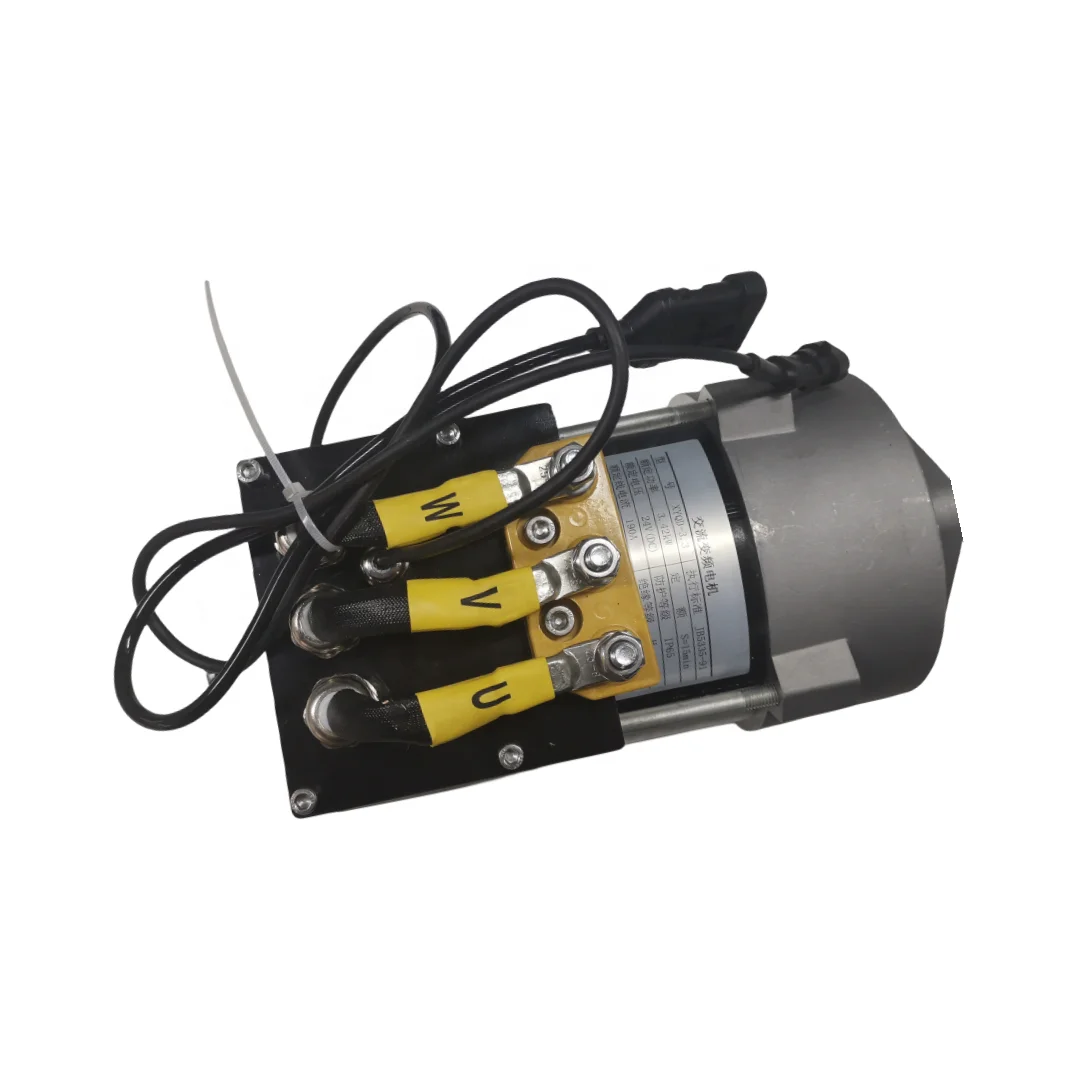 Dingli 00008010 DL-00008010 AC Motor