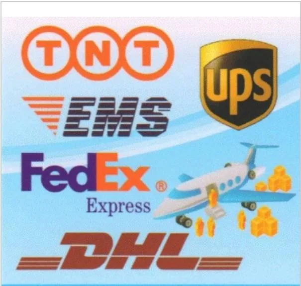 Fast Logistics Upgrade Exclusive Freight Links (DHL, UPS, Fedex IP, TNT)