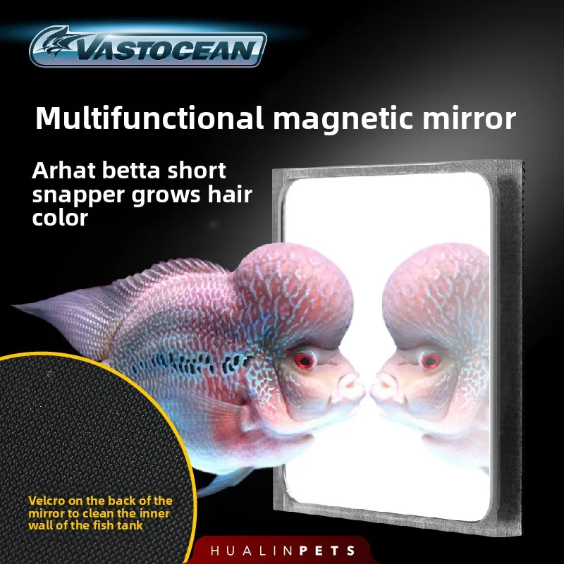 

VASTOCEAN 2-in-1 Magnetic Betta Mirror: Exercise Trainer to Prevent Boredom & Tank Glass Cleaner