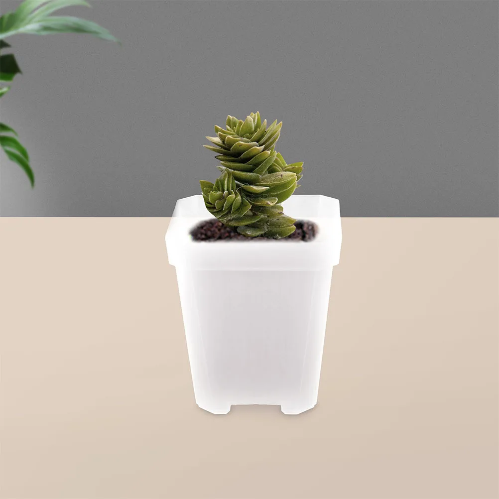

24Pcs Square Clear Plastic Nursery Pots Transparent Mini Planters Small Plant Containers for Home Office Planter Pot