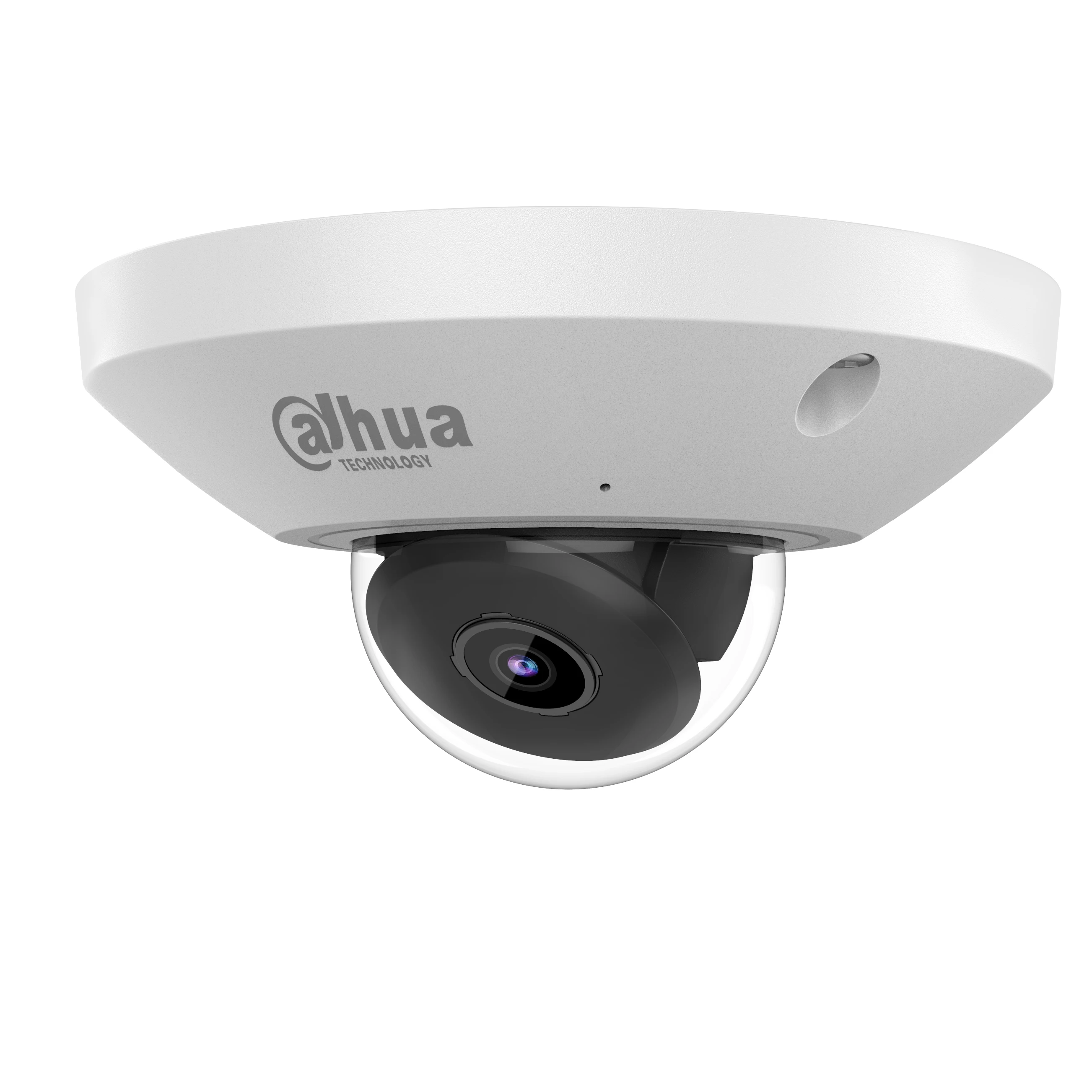 기존 Dahua IPC-EB5541-AS 5MP POE WizMind Fisheye 네트워크 카메라 히트 맵 Tripwire 침입 내장 마이크 알람 I/O IP67 및 IK10