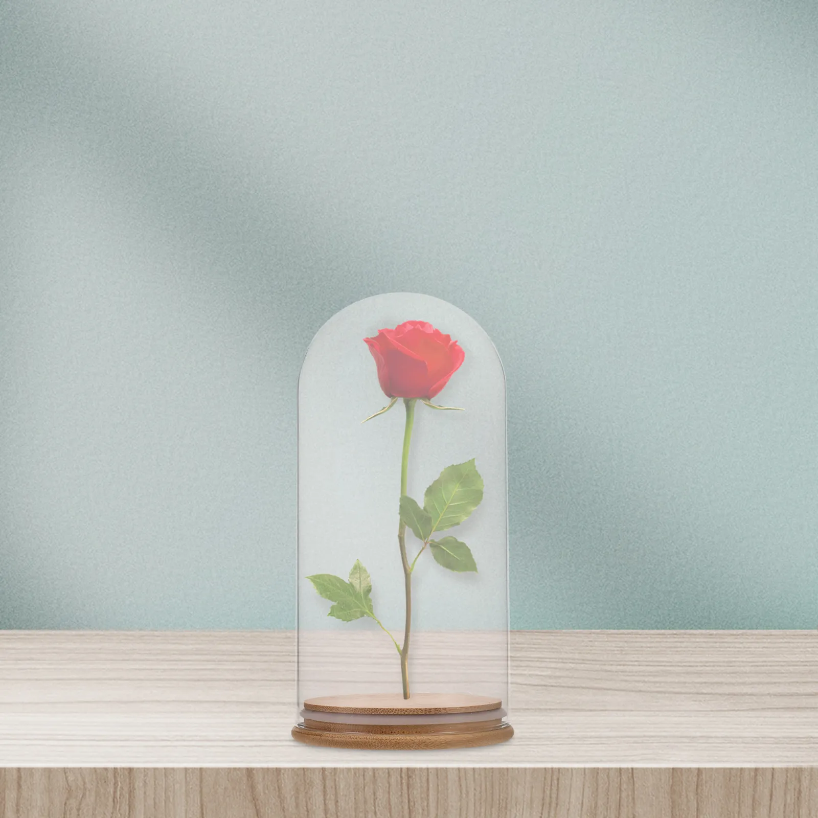 Glass Dome Cloche Transparent Display Globe Clear Cover Stable Base for Eternal Flowers Preserved Collectibles Home Decor