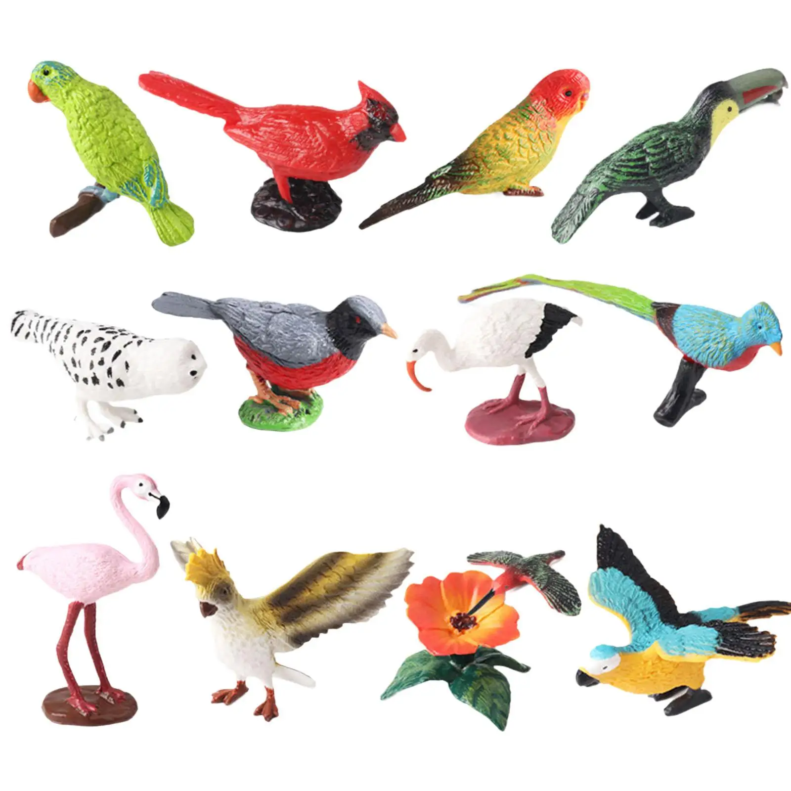 12x Children Realistic Animal Model Bird Toy Set Mini Birds Collection for