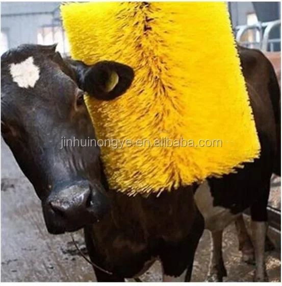 Hot sale Products Animal Husbandry cylinder brush ,Automatic cow brush