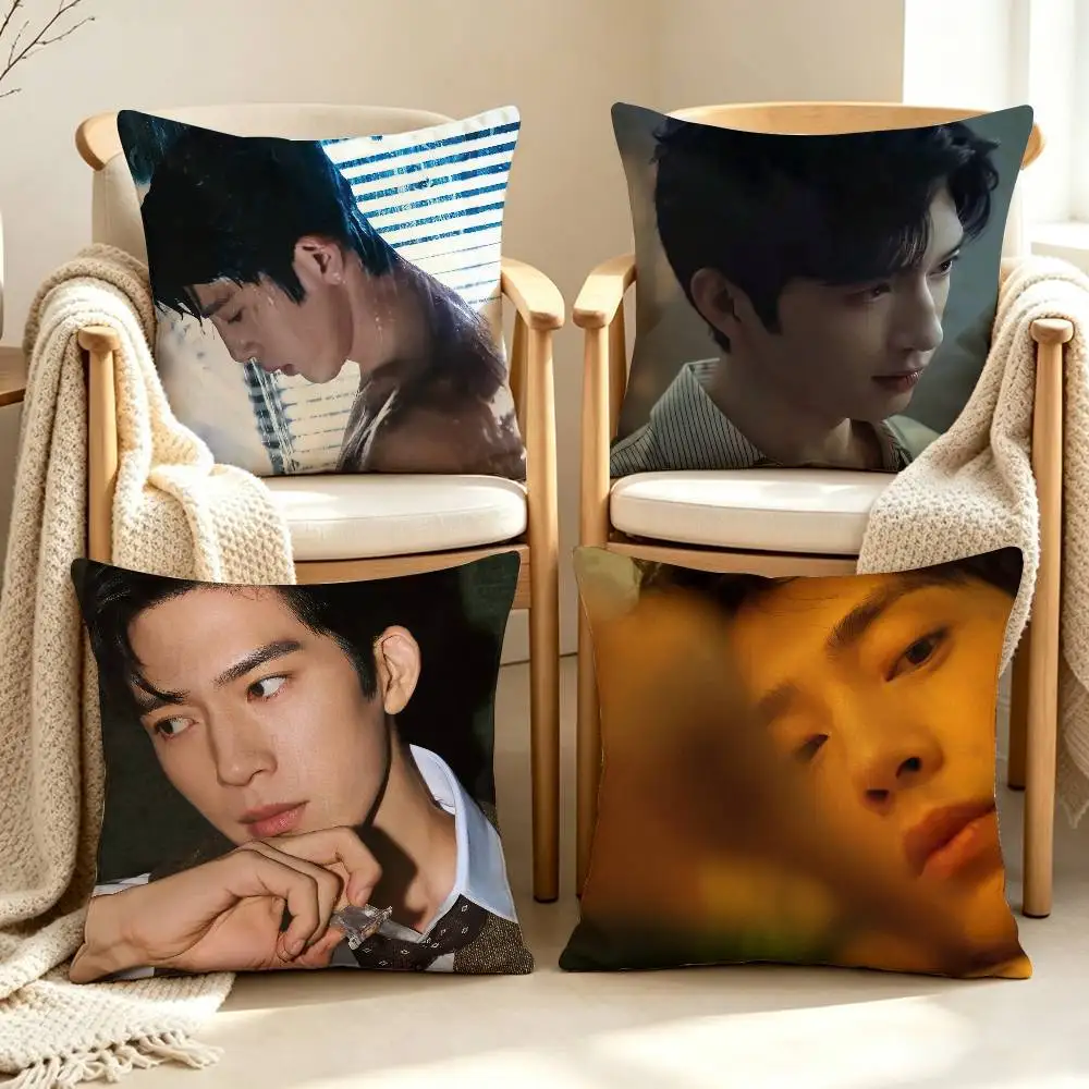 Cool Luke Jing Boran The Early Spring Quiet Customizable Square Pillow case Double Sided Print Sofa Bedroom Decor Cushion Cover