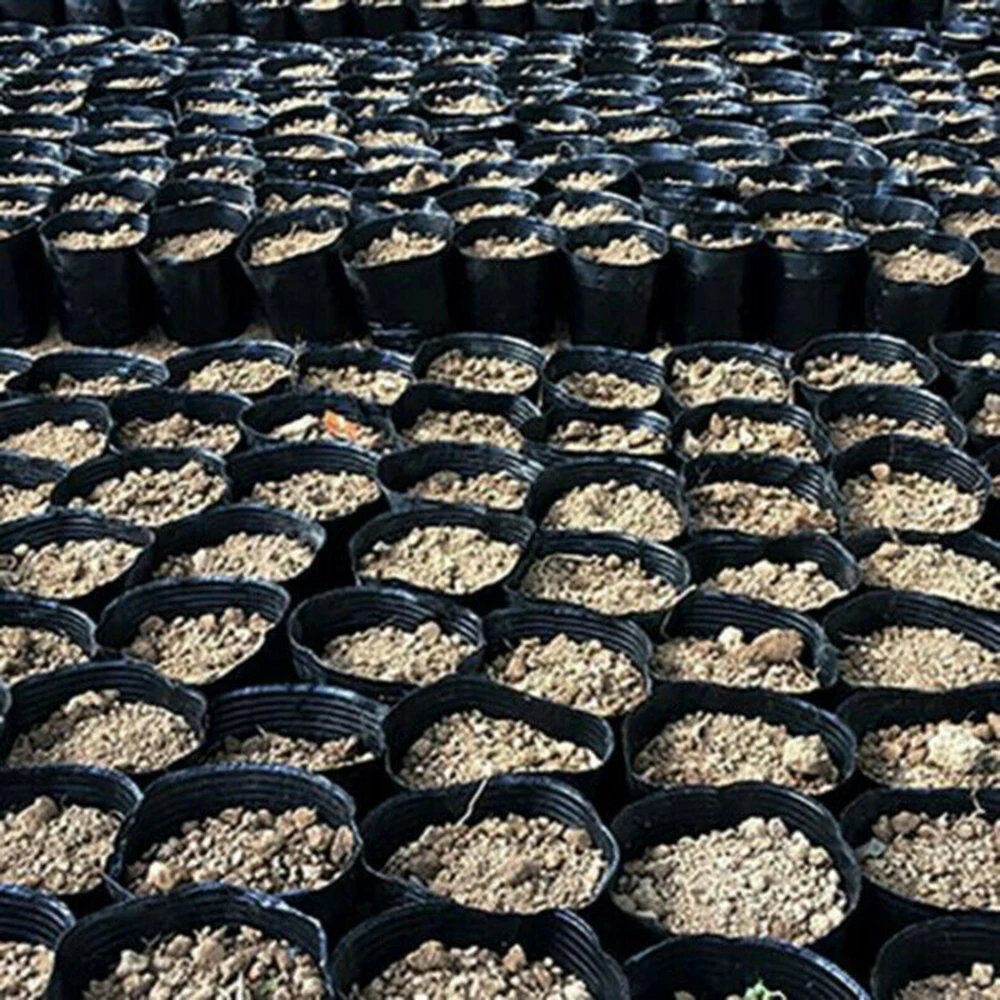100pc Lightweight Plastic Pots for Garden Plants with Hollow Bottom Construction to Aid Drainage and Oxygen Flow