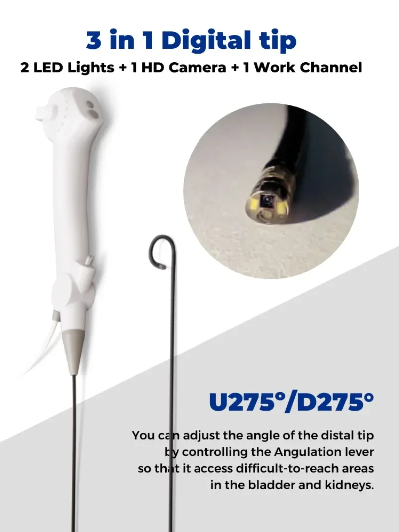 Endoscopio flexible - para endoscopia de urología con cono de piedra -