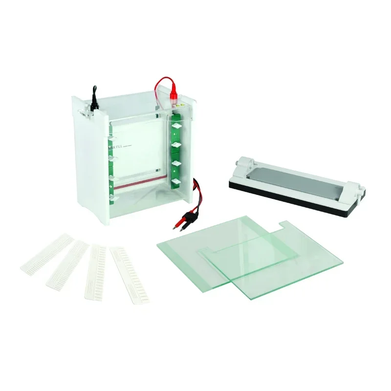 Sistema de tanque de eletroforese vertical SSR rápido