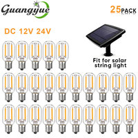 DC 12V 24V Led Light Bulb T22 1W Edison Low Voltage Lights E12 Vintage Clear Glass Tubular Solar String Lights Replaceable Bulbs