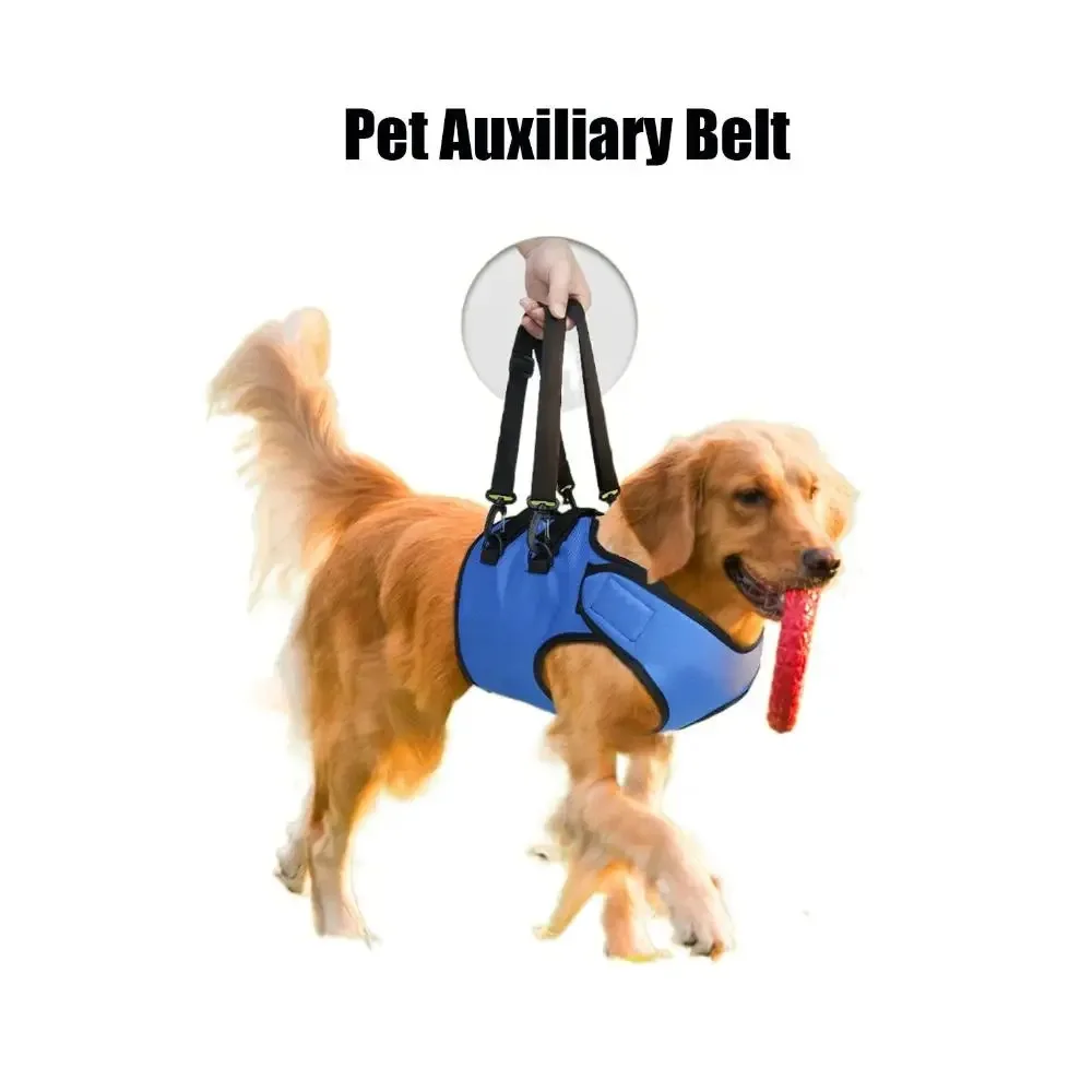 Dog Walking Assistance Belt Supportive Harness for Disabled Pets Rehabilitation Aid and Mobility Aid for Front Legs