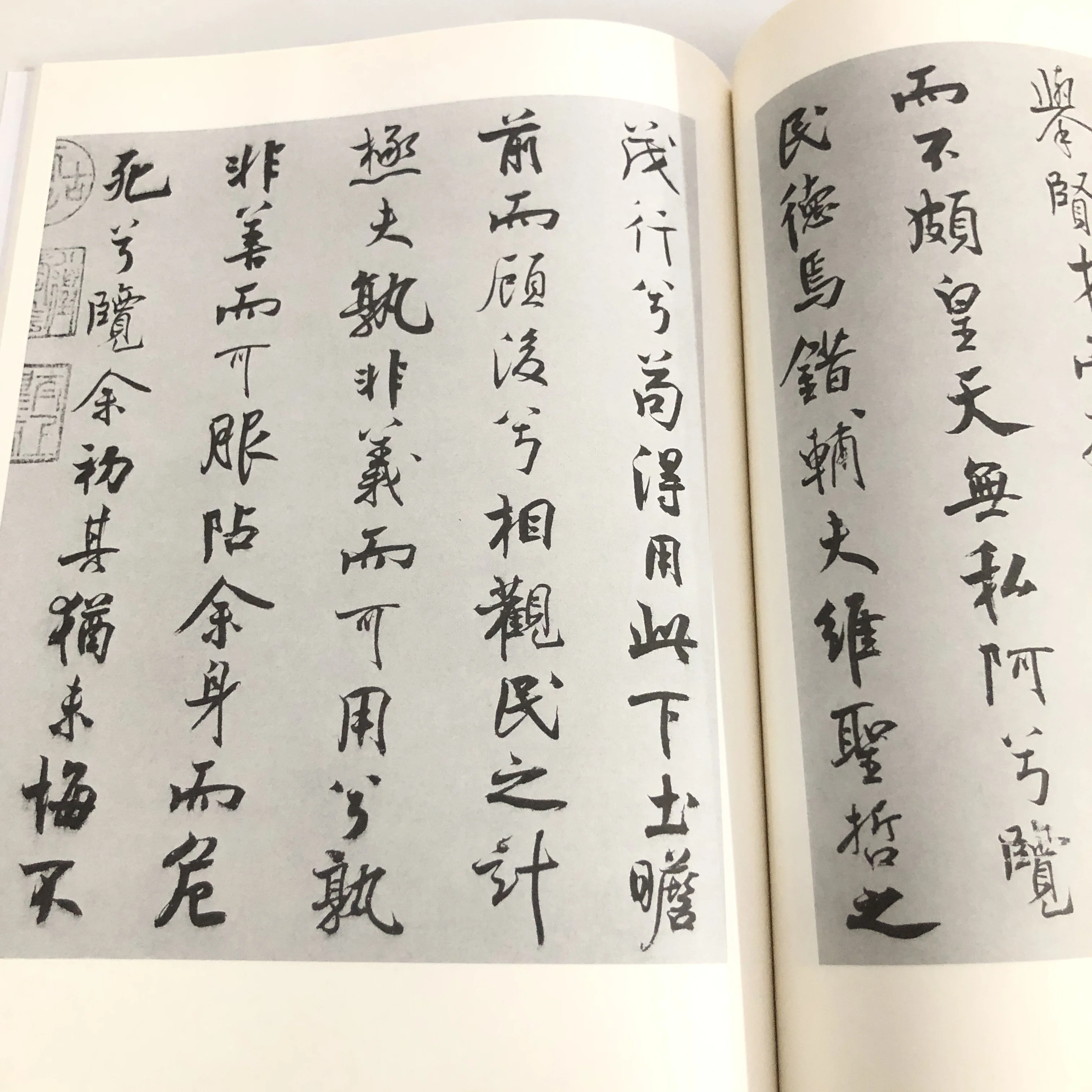 Caderno de caligrafia de Mi Fu: folhas de prática de poesia de colocar Lament