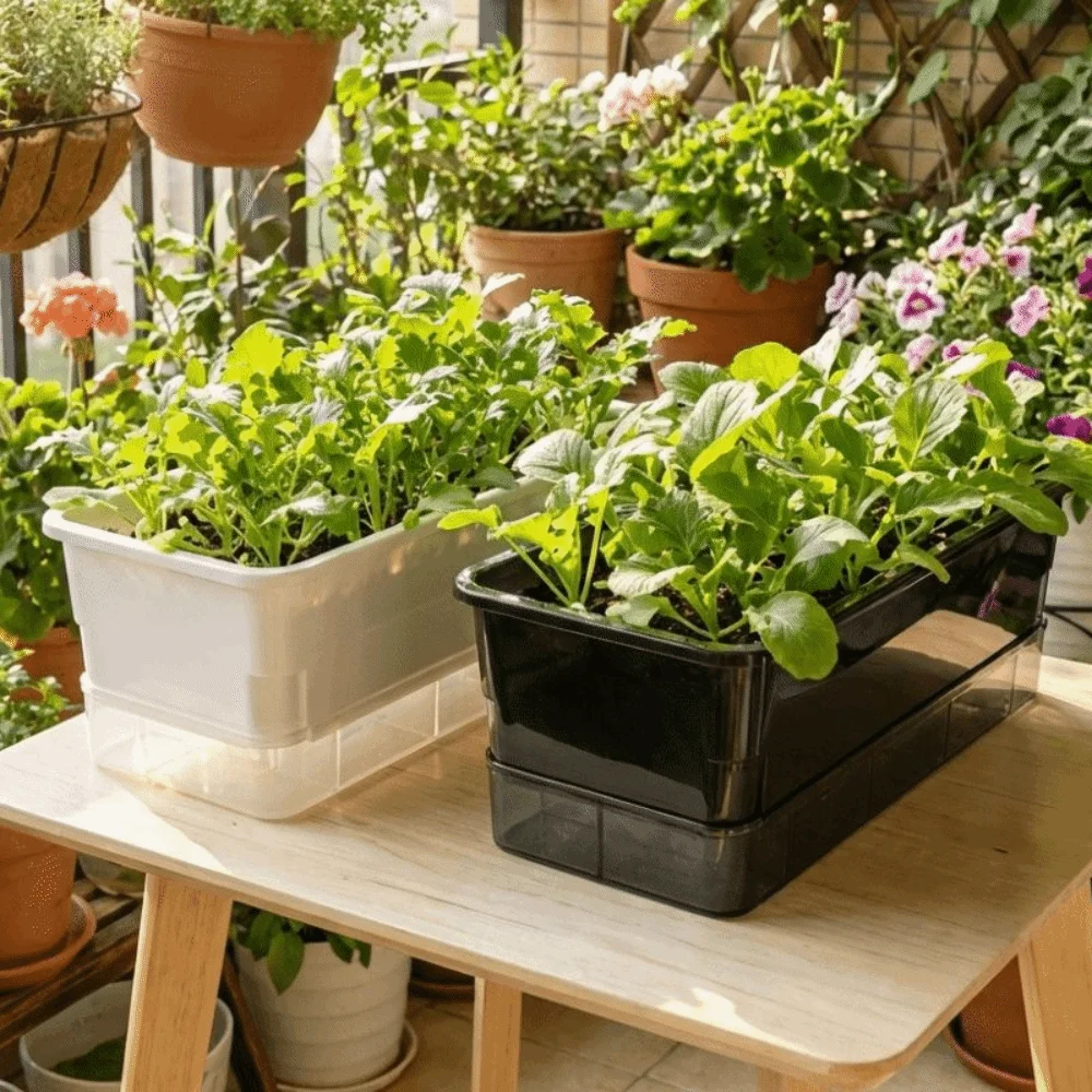 Plastic Hydroponic Plant Pots Self Watering Cultivation Box Seedling Tray Planting Container Thicken