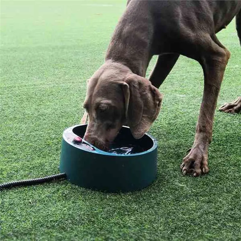 AT21-Smart Thermostatic Heated Pet Water Bowl 2.2L For Outdoor Dog Cat Bowl Anti-Freeze Use In Winter US Plug Green