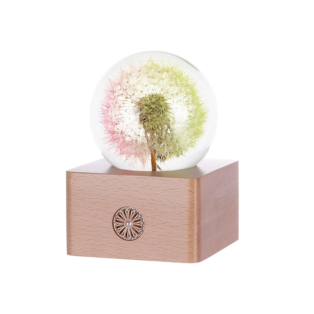 Crystal Ball Resin Crafts Dandelion Plant Specimen Features Gift Gifts Small Night Light Art Home Decoration